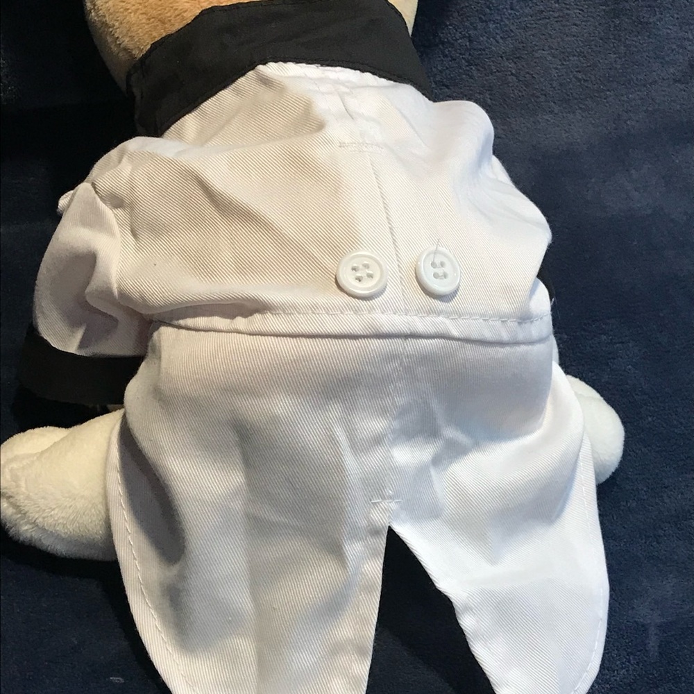Pet Costume - Picture 2 of 7